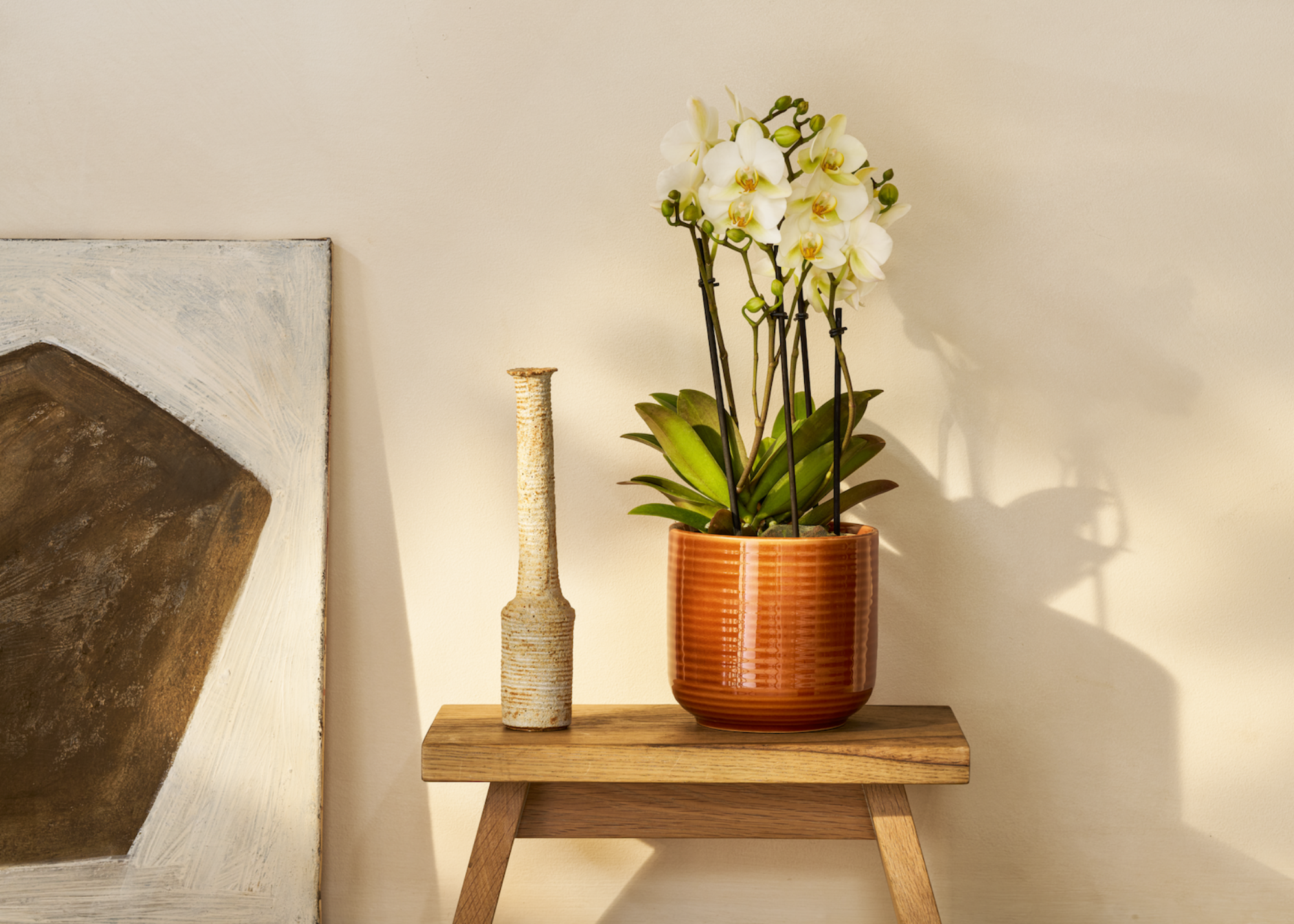 A white orchid in a burnt orange ceramic planter on a wood stool by a textured bottle
