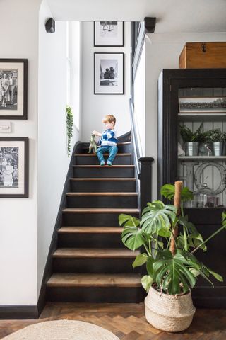 black painted wooden staircase in a white hallway with black picture frames and plants, with a little boy and a cat at the top playing