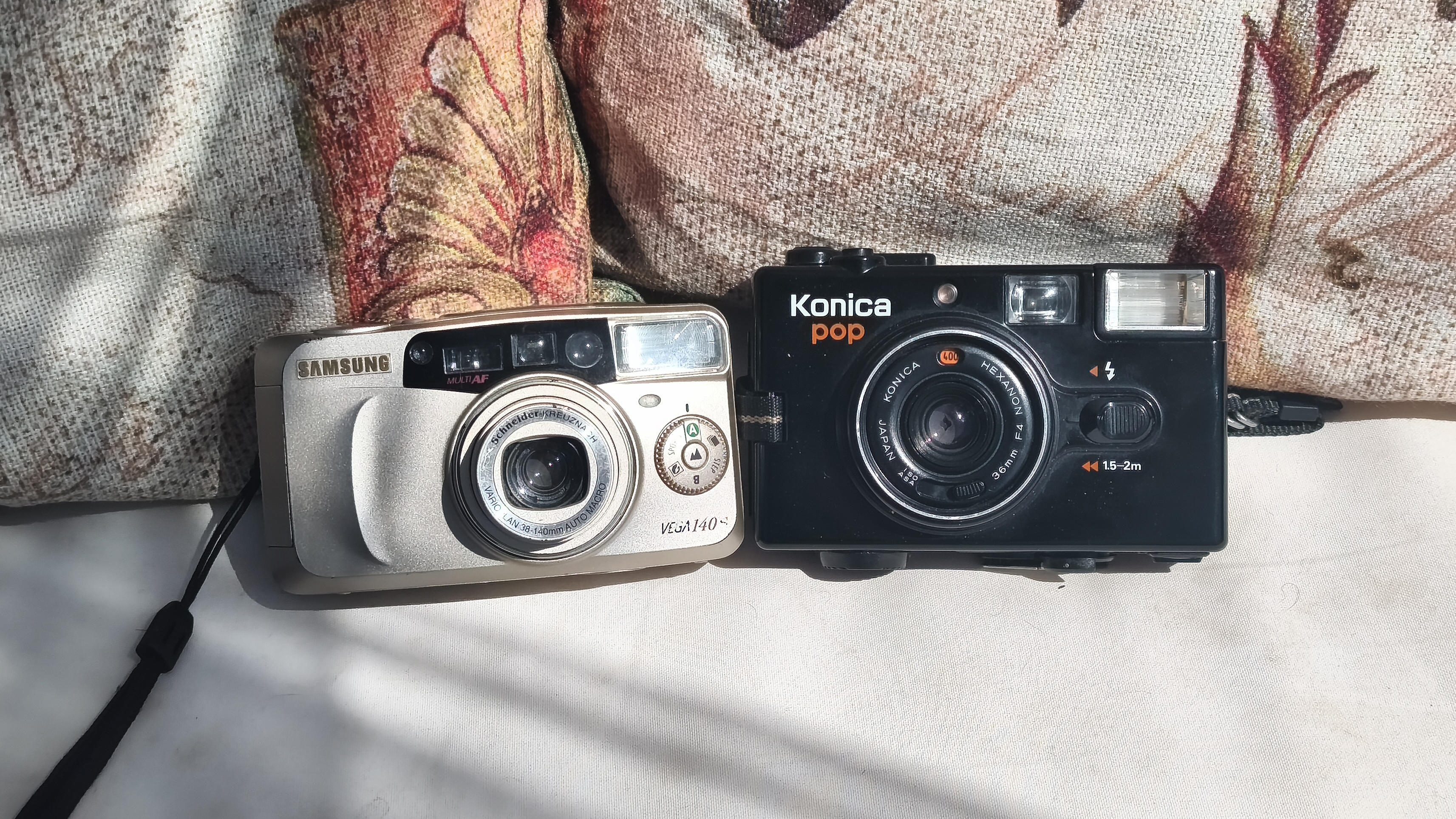 Cheap compact film cameras sitting on a garden bench