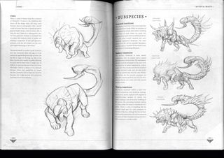 Book open on pages of creature sketchings