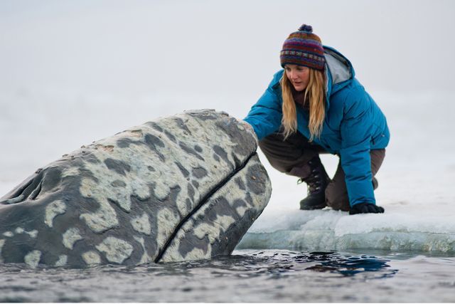 activism, whale rescue, Big Miracle Movie, Cindy Lowry