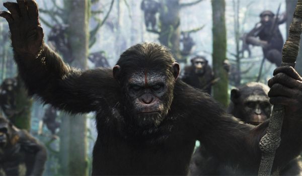 behind the planet of the apes streaming