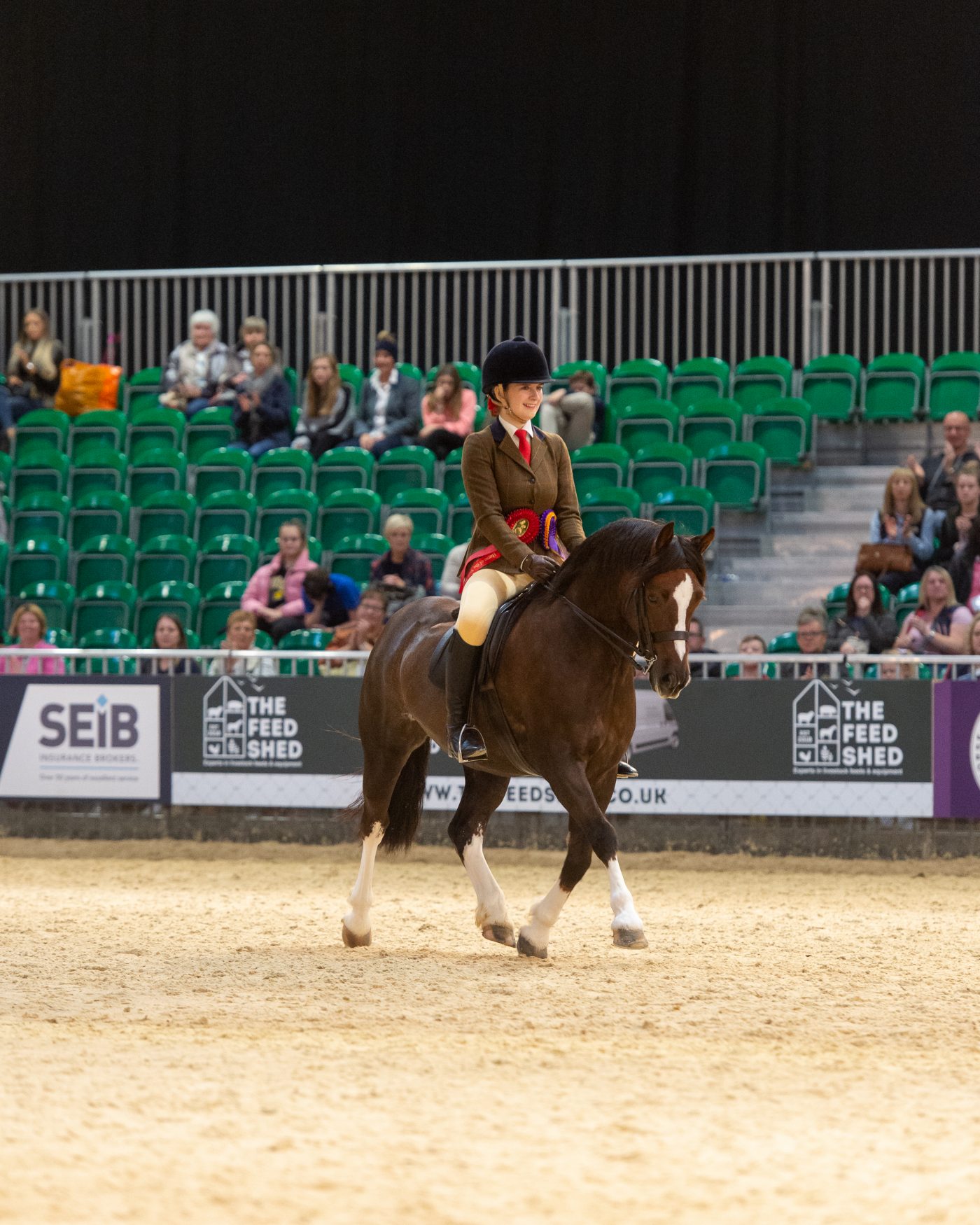 HOYS19_JUNIOR_M_M_RIDDEN_LARGE_BREED_PON_355112062_403888981-e1578311173369.jpg