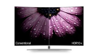 An HDR10+ TV with a pink flower on the screen