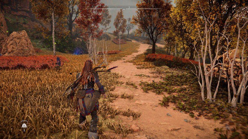 Horizon Forbidden West PS5 Performance Mode