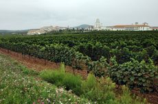 Chateau Junding, Cofco Chinese winery