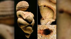 The original Venus from Willendorf. Left: lateral view. Right top: hemispherical cavities on the right haunch and leg. Right bottom: existing hole enlarged to form the navel.