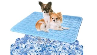 BESAZW cooling mat for dogs