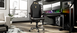 Secretlab Titan Evo 2022 chair in a bright, spacious home office 