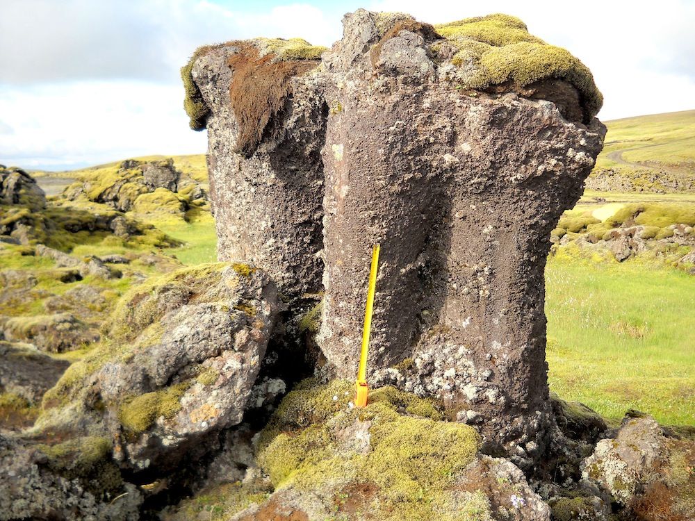 mossy lava pillar in Iceland