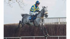 The Belvoir at Garthorpe, Sunday 20 March 2022 &copy; 2022 Nico Morgan. All Rights Reserved