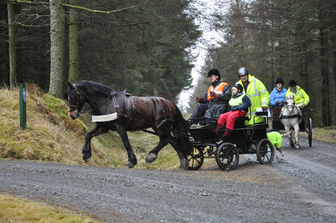 A group drive in forestry