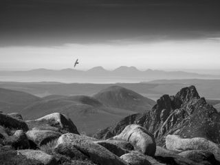 Raven Above Arran Black & White | Winner Robin Dodd Raven (Corvus corax) Isle of Arran, Scotland Canon EOS R with Canon RF 24-105mm f/4 lens. 105mm; 1/320th second; f/14; ISO 400.
