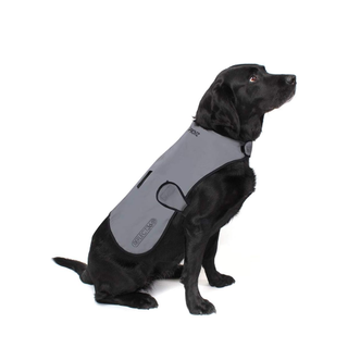 Proviz Reflect 360 dog coat, one of the best dog coats, on a black dog