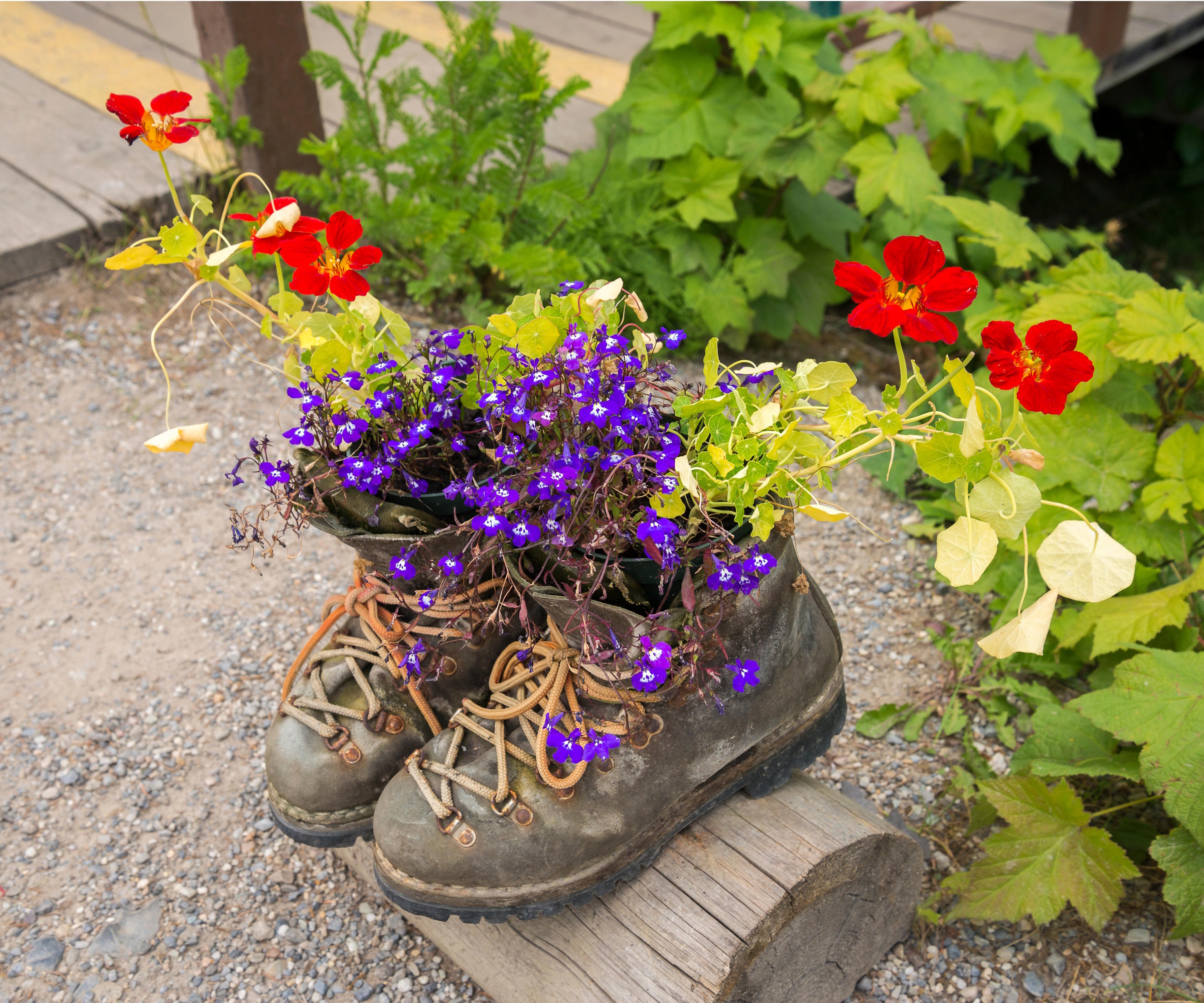 Boot planters