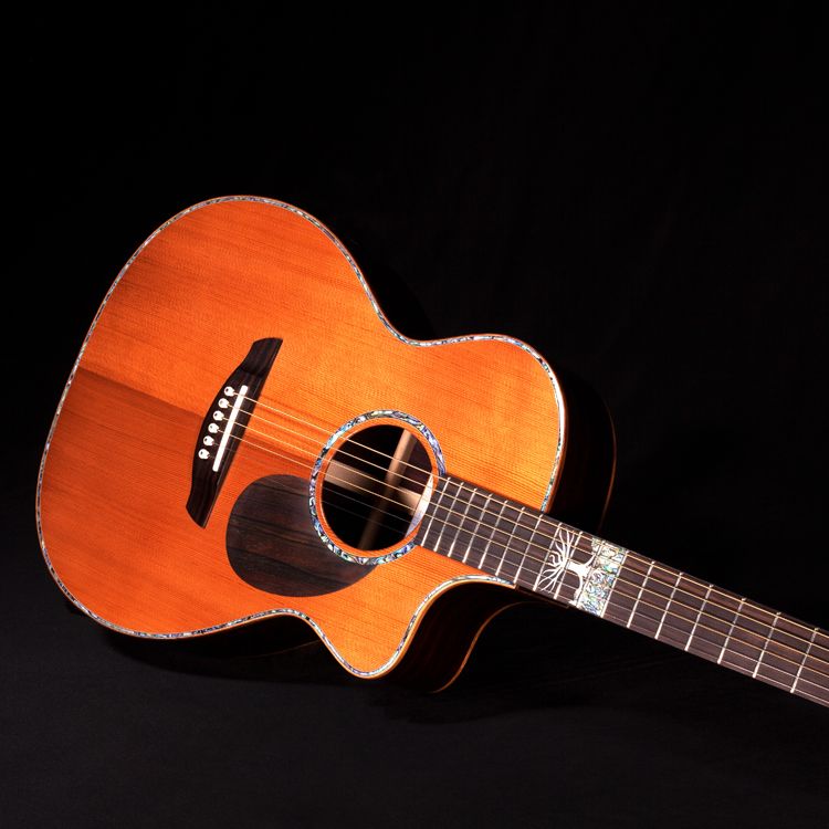 Faith Guitars The Twenty Legacy guitars