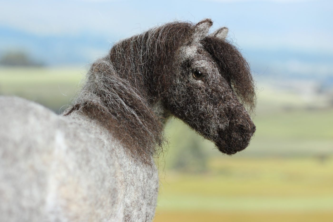 Highland-Stallion-e1720531167208.jpg