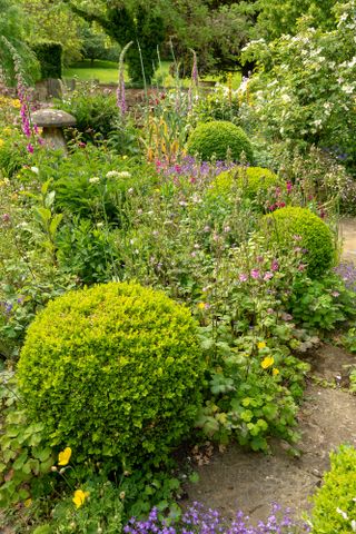 Cottage garden border beside path with box ball, flowers and staddle stones