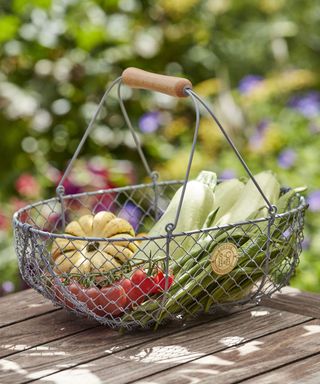 wire basket with pumpkins