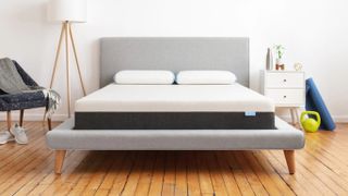 Bear mattress on a bed frame in a bedroom