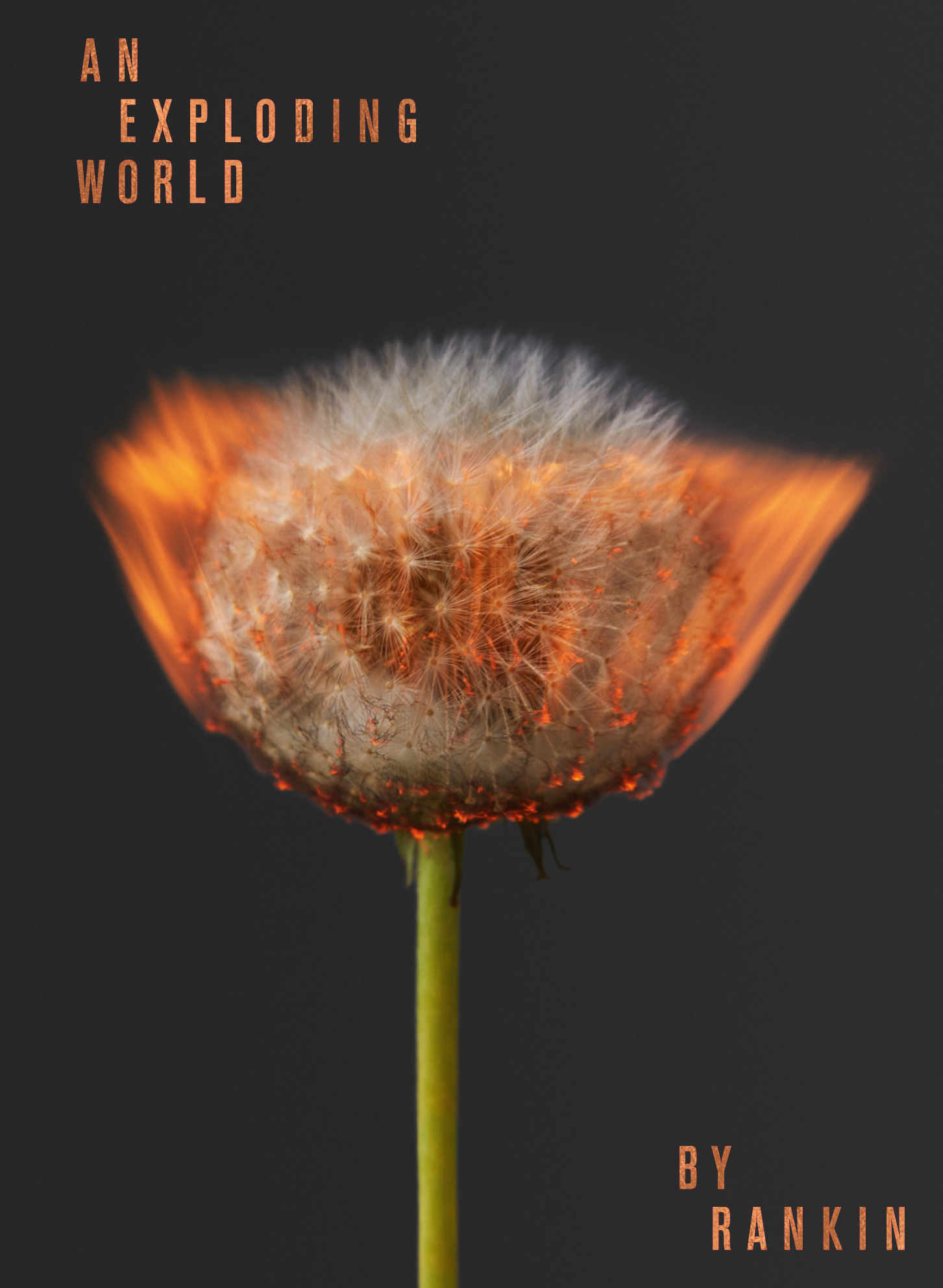 New photo book An Exploding World by Rankin features dandelions on fire