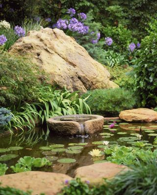 lily pond with stone surround