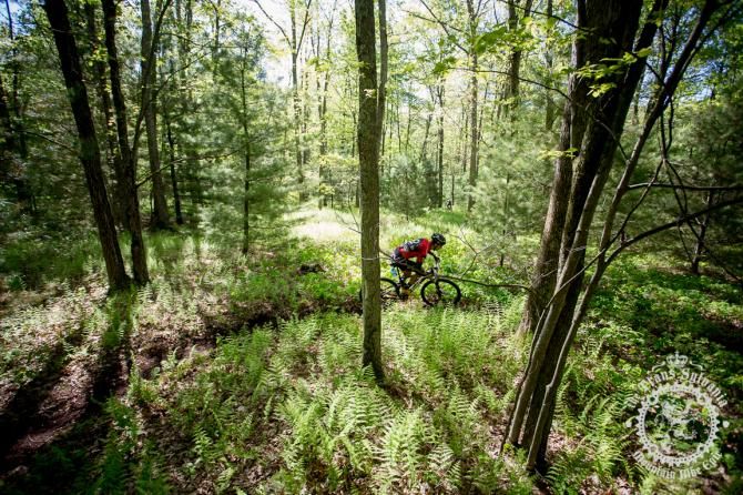 The riders head through he landscapes of the fer ns and trees of Stage 7