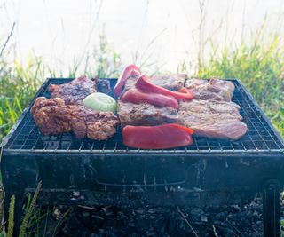 A portable grill cooking meat, peppers, and an onion