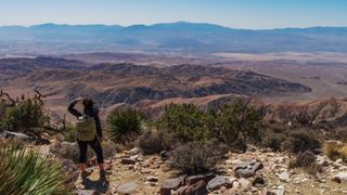 A panoramic view from Joshua Tree National Park