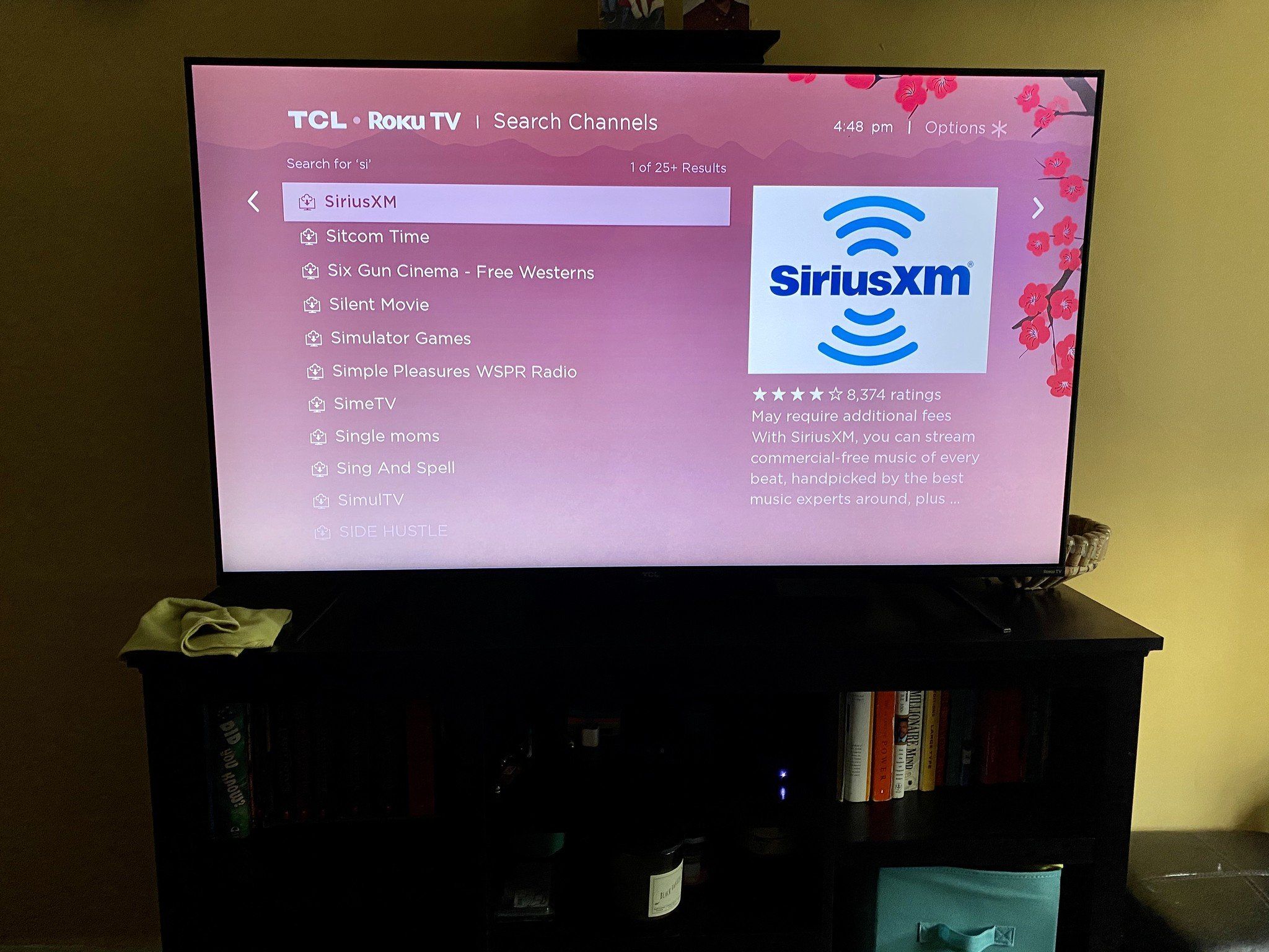 Can I use SiriusXM on Roku? | What to Watch