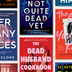 a collage of the best mystery thriller books of 2025 including the dead husband cookbook her many faces the girl you know and more