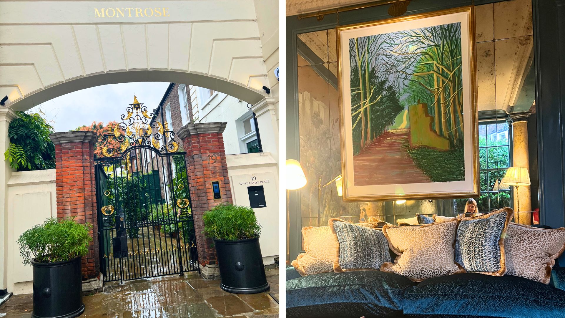 An image of Montrose London clinic, with a white stucco wall and iron gates with gold detail, then an image of the waiting room, with a blue velvet sofa and artwork on the walls