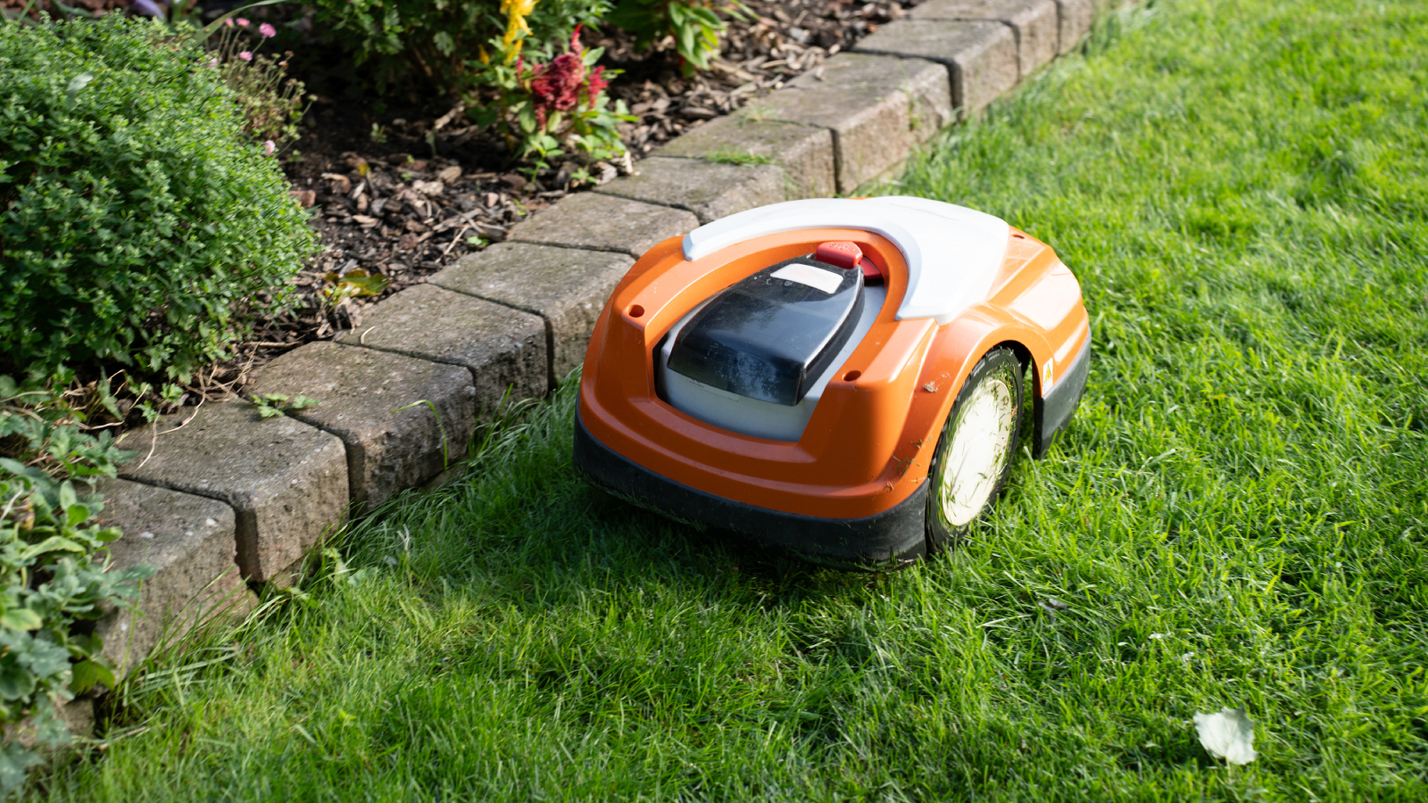 Robot lawn mower cutting along garden border