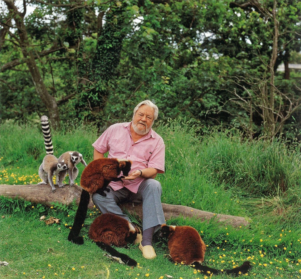 At home among the lemurs: footage of the late Gerald Durrell in What the Durrell&#039;s Did Next, 2019, a follow-up documentary to ITV&#039;s drama