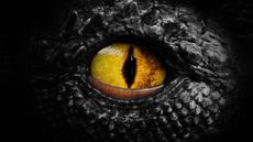 A close-up on a hyperrealistic dragon's yellow eye, to represent the DragonForce ransomware platform.