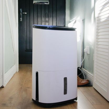 Dehumidifier in a light green hallway next to a slatted cupboard door, with a black front door in the background