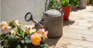 garden decking with a tin watering can and potted plants