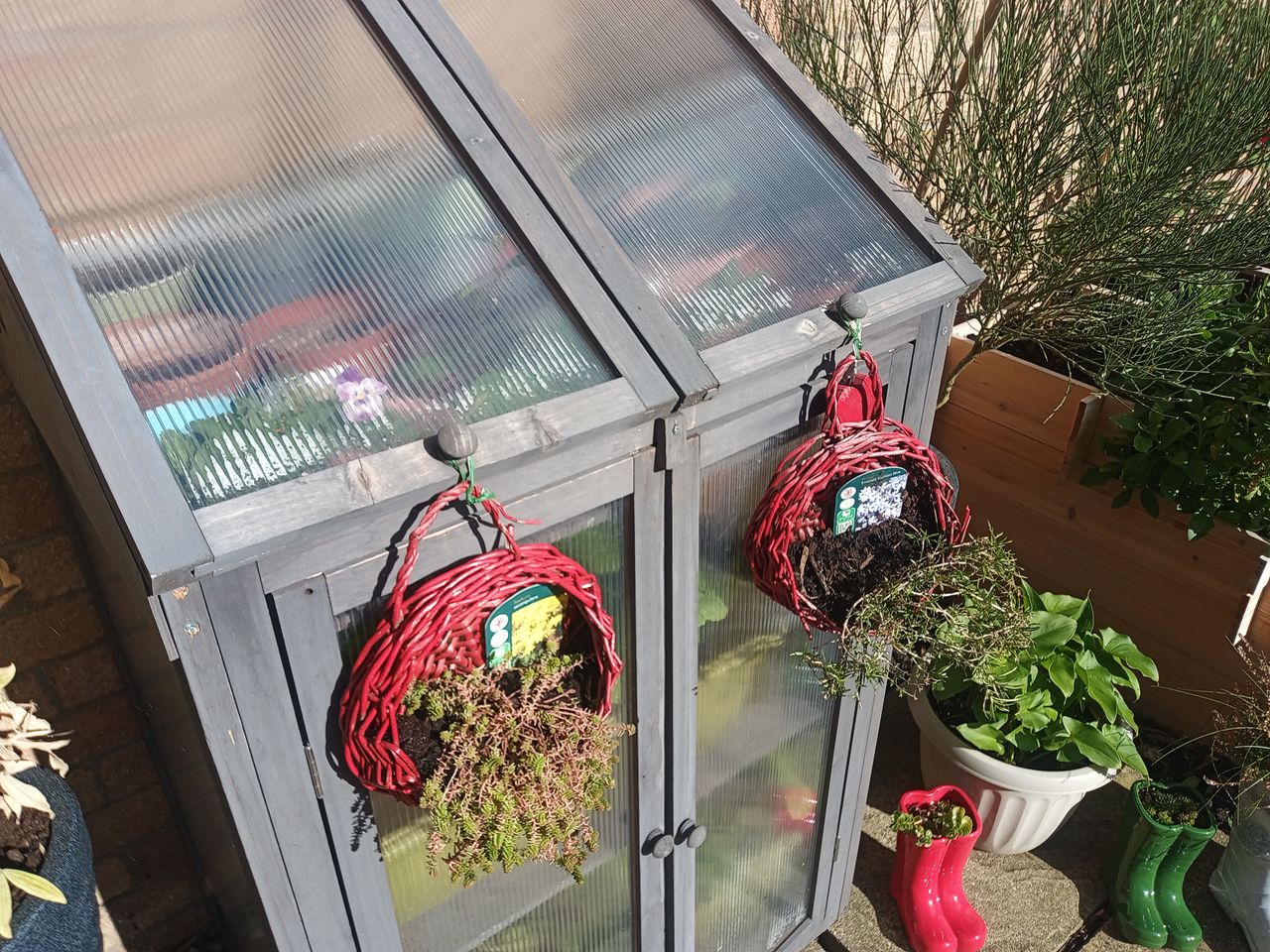 Photos taken with the AGM H5 Pro