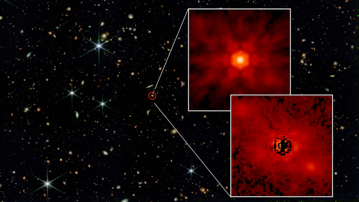 تلسکوپ فضایی جیمز وب نشان می دهد که سیاهچاله های بسیار پرجرم از “دانه های” سنگین کیهانی رشد کرده اند.