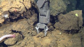 MBARI researchers used the "manipulator arm" on ROV Doc Ricketts to collect rock samples from the rhyolite dome.