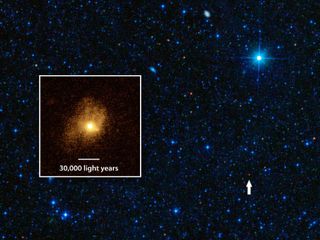 Galaxy Packs Big Star-Making Punch WISE