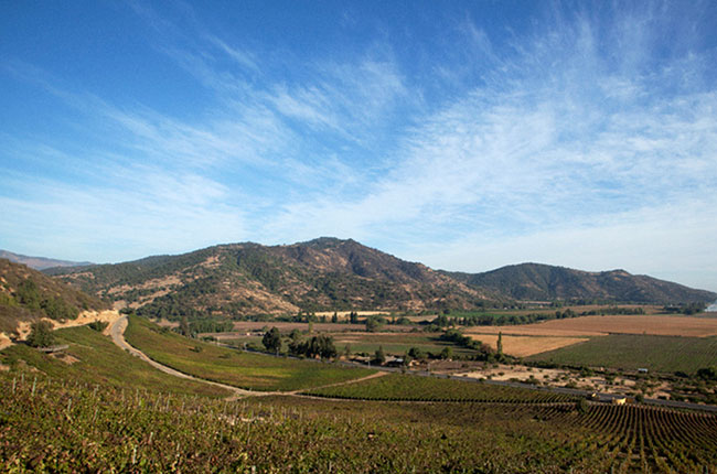 Accolade wines, Vina Anakena