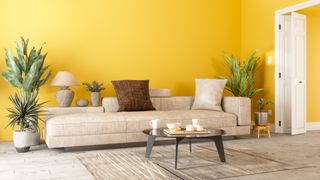 Living room with bright yellow walls demonstrating bright yellows as paint colors that could devalue your home