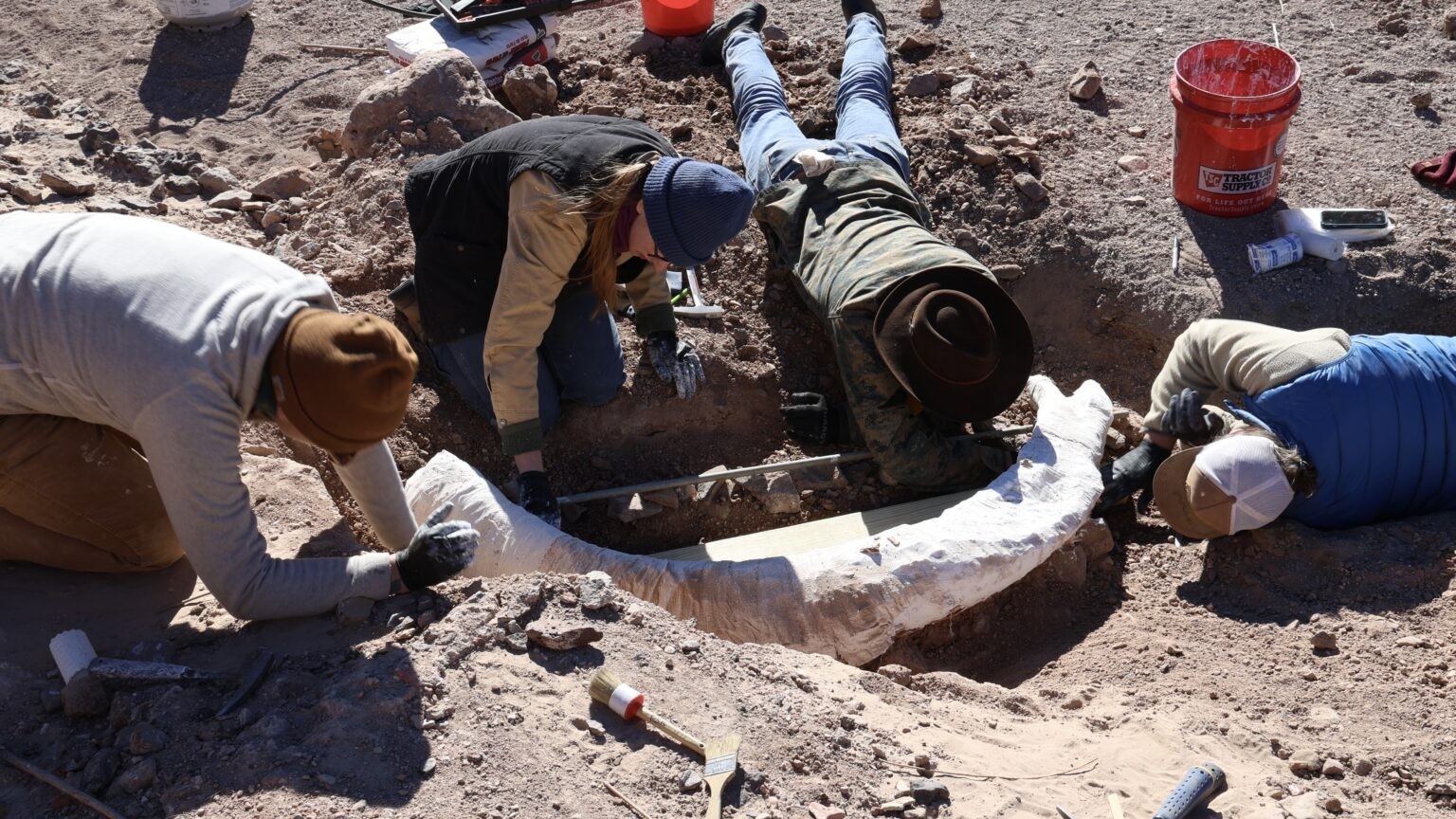 Rare mammoth tusk found on West Texas ranch