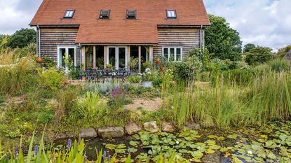 Country house with large pond covered with lily pads in garden