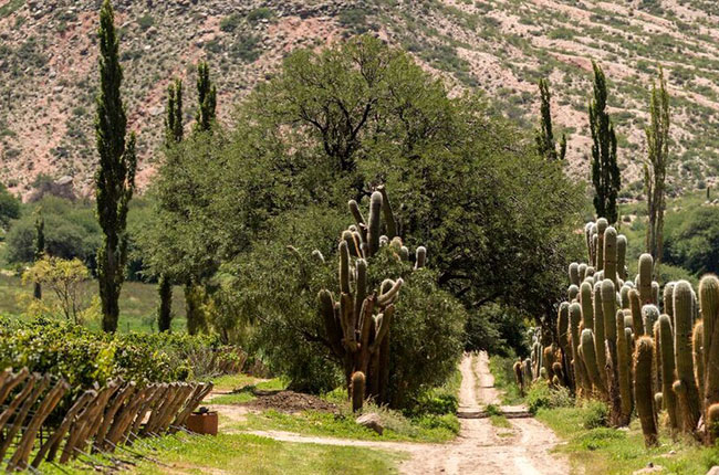 Argentina Geographical Indications