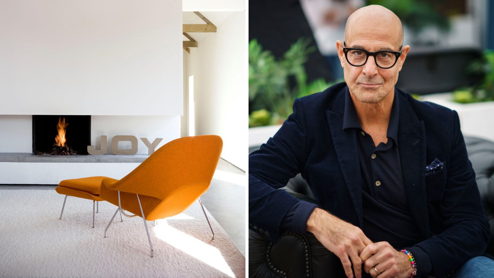 Womb Chair / Stanley Tucci