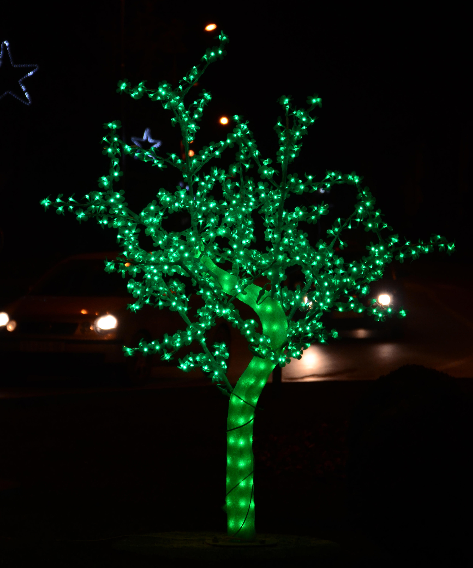 A tree decorated with green outdoor lights