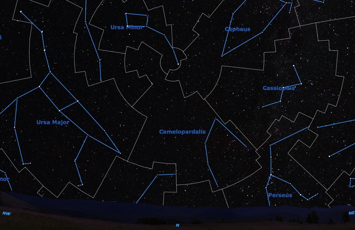 Camelopardalis Созвездие