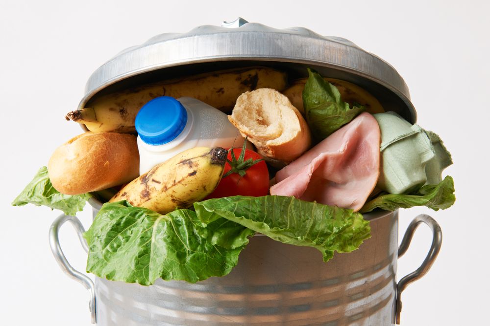 food waste, trashcan 